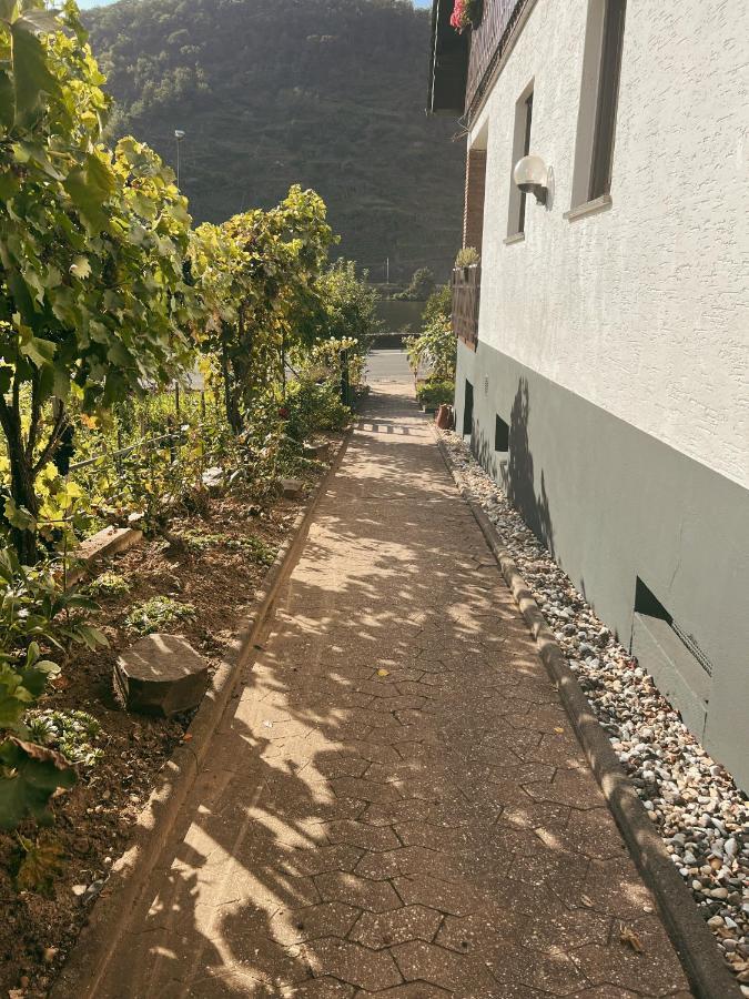 Ferienwohnung Moselflair Mit Direktem Blick Auf Die Mosel Und Weinberge Oberfell Buitenkant foto